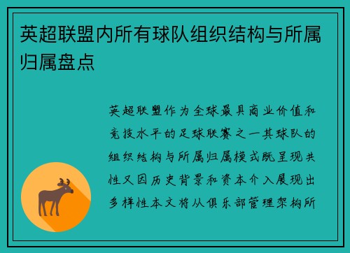 英超联盟内所有球队组织结构与所属归属盘点